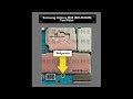 Samsung Galaxy M35 (SM-M356B) Test Point | Bypass FRP, User Lock