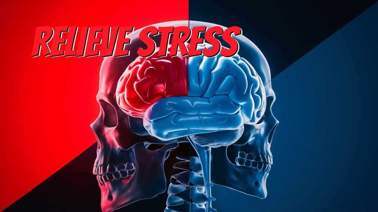 What Happens to Your Brain After Stress? - YouTube