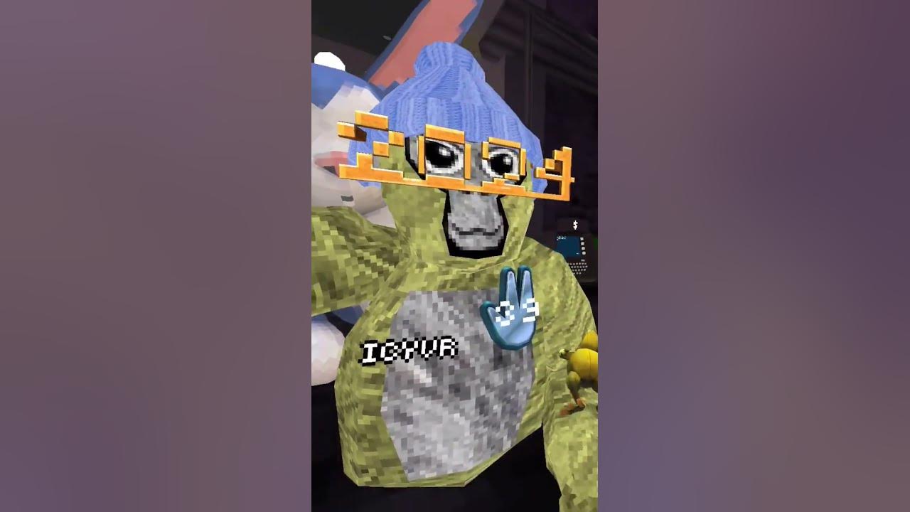 were all gonna be safe and all have a good time.gorrila#meme
