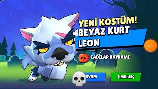 Beyaz Kurt Leon Aldım