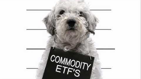 Stock Market Timing - 20110201