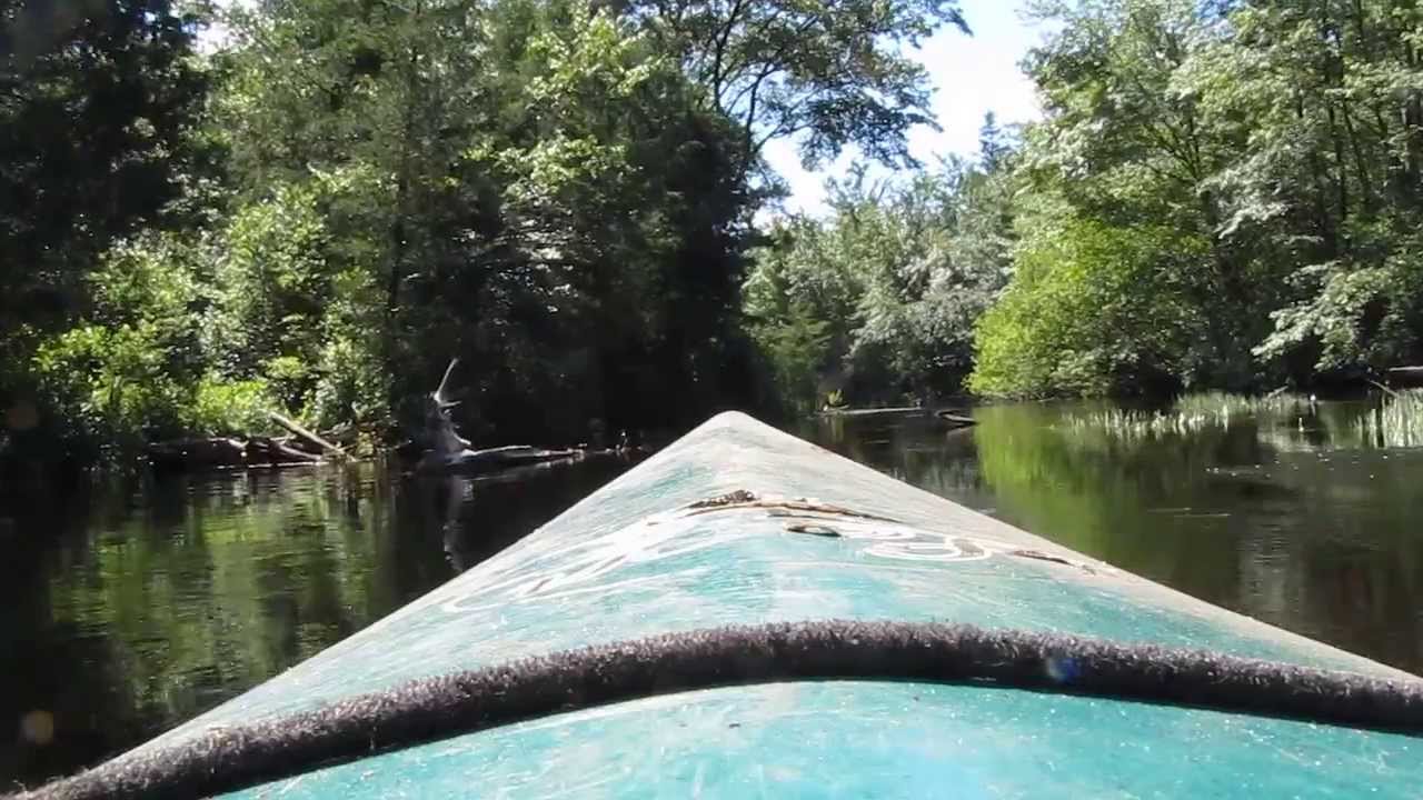 Cedar Creek Kayaking, New Jersey YouTube