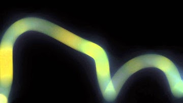 Tutoriales Vegas Pro 9.0 y 10.0 // Light Streaks