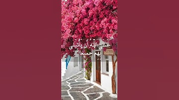 تلاوة خاشعة🤍ومريحة🍃🕊من اسلام صبحي