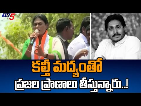 కల్తీ మద్యంతో ప్రజల ప్రాణాలు తీస్తున్నారు..! YS Sharmila Sensational Comments On YS Jagan | TV5 News - TV5NEWS