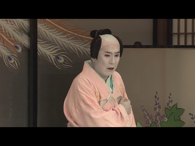 映画『シネマ歌舞伎　鰯賣戀曳網』予告編