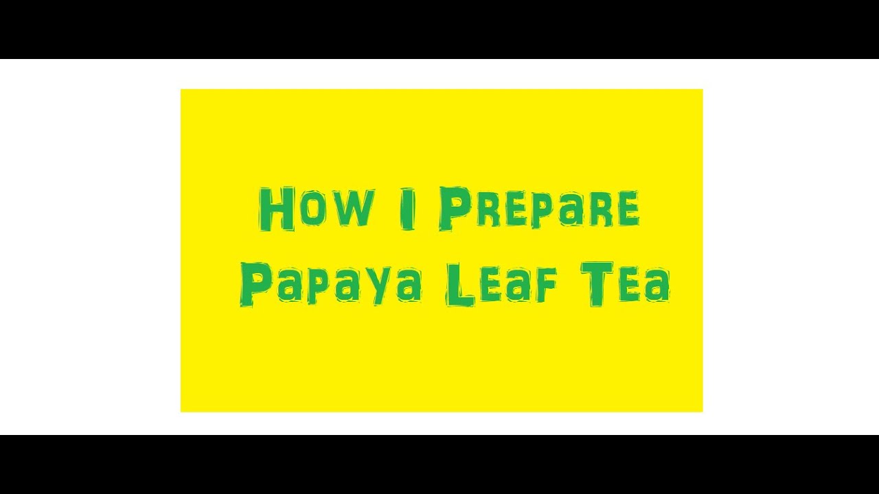 How I Make Papaya Leaf Tea YouTube