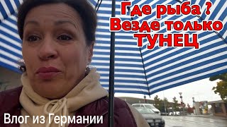 Download Lagu Новая рамка / Как преобразился наш дом MP3 Download Lagu Новая рамка / Как преобразился наш дом MP3