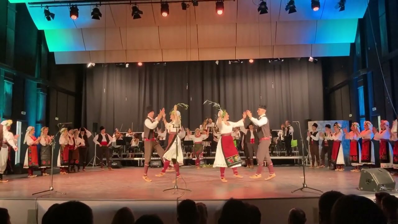 Ансамбл ВИЛА Нови Сад - Неготински мотиви (премијера 2022)