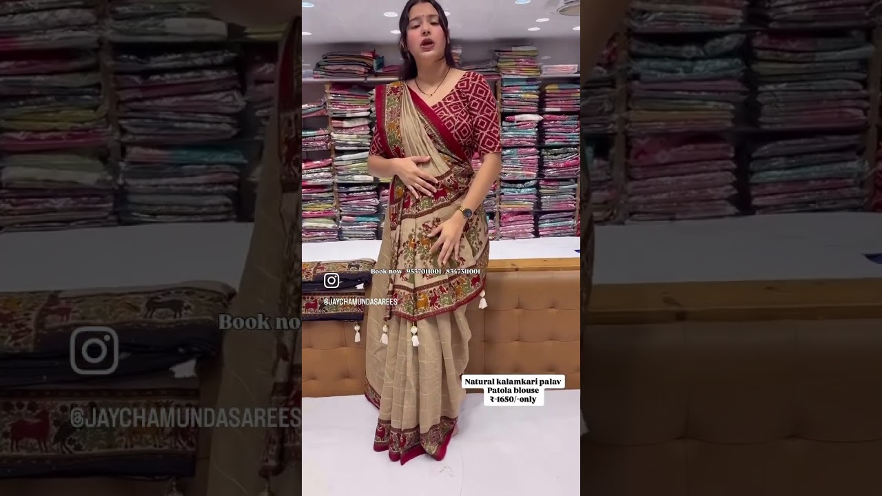 ✨Nature kalamkari with patola blouse 