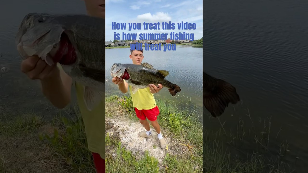 How you treat this video is how summer fishing will treat you #purefishing #professionalfishing ￼