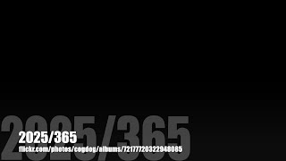 Flickr Daily Photos 2025