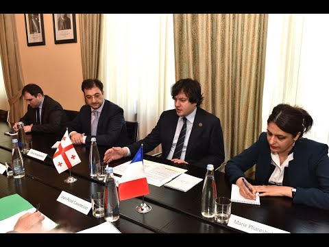 ირაკლი კობახიძის შეხვედრა საფრანგეთის საქართველოსთან მეგობრობის საპარლამენტო ჯგუფის წევრებთან