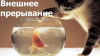картинка: AVR 12# Внешние прерывания