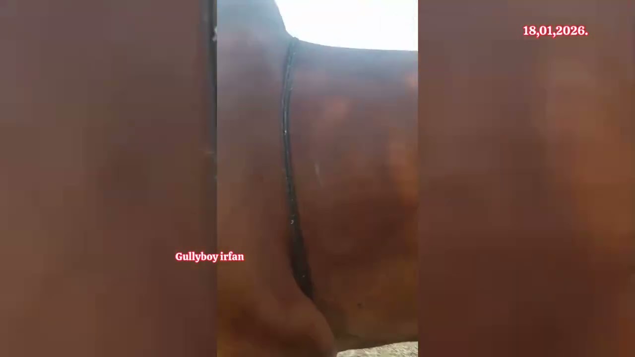 63631 40176 ఎడ్లు అమ్మబడును కర్ణాటక గుల్బర్గ bulls for sale karnataka bidar बैल बेचना कर्नाटक 