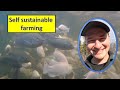 Self sustaining hydroponics farm! Tilapia fish on a self sustainable aquaponics farm