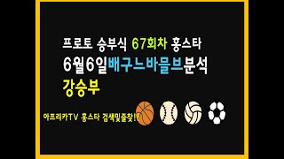 6월6일 프로토 승부식 67회차 배구분석 느바분석 믈브분석 #토토 #프로토