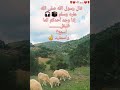 #قال رسول الله صلى الله عليه وسلم #حديث_شريف#حديث_الرسول #صلوا_على_الحبيب_محمد_ﷺ #دعاء #اكسبلور#لايك
