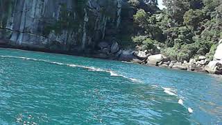 CURSO RESCUE DIVER DSCI1372