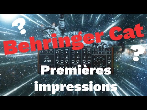 Premières impressions avec le synthé analogique duophonique Behringer Cat