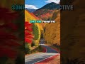 Overcoming Temptation #shorts #viralvideo #encouragement
