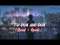 Tu Dua Hai Dua Slowed And Reverb Ishq Ne Crazy Kiya Re Shree Nilkanth YT