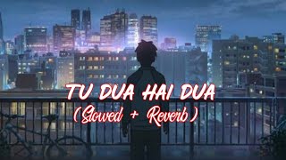 Tu dua hai dua slowed and reverb || Ishq Ne Crazy Kiya Re || @Shree Nilkanth YT Resimi