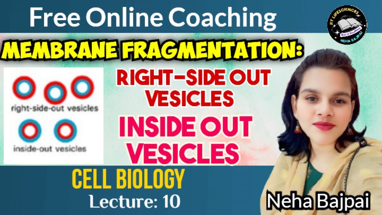 Cell Biology: Inside out and Right-side out vesicles I Lec.- 10 I B.Sc. I M.Sc.I CSIR UGC NET