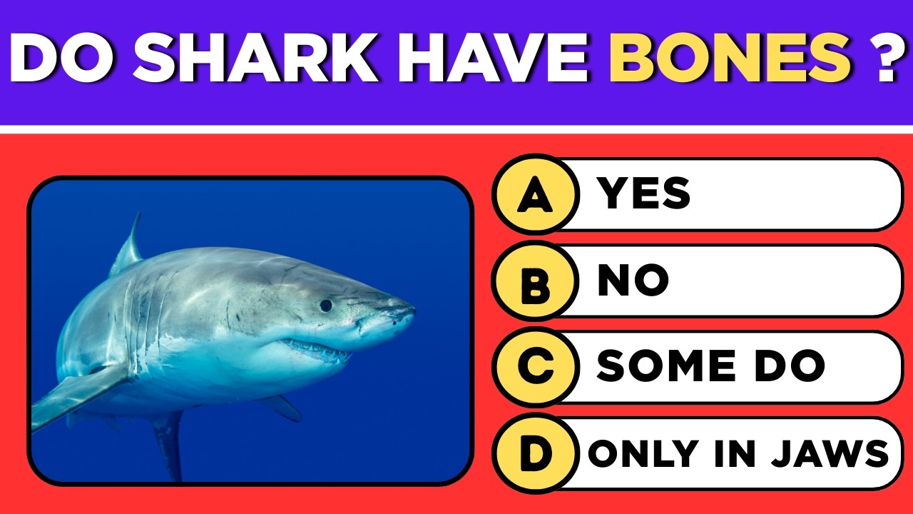 Can You Beat This GK Quiz? 🧠 50 General Knowledge Questions! 🏆