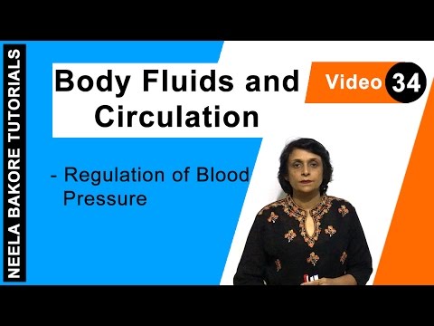 Body Fluids and Circulation - Regulation of Blood Pressure