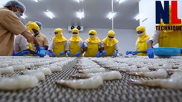 Modern Food Processing Technology with Cool Automatic Machines That Are At Another Level Part 26