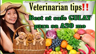 VEGETABLES FOR DOGS || VEGGIE TREATS || DOC MJ VETERINARIAN