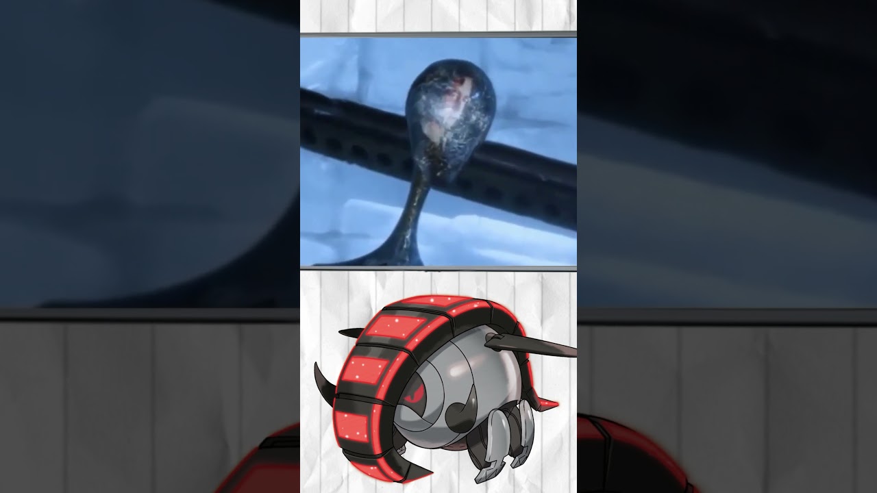 Future Round Boi