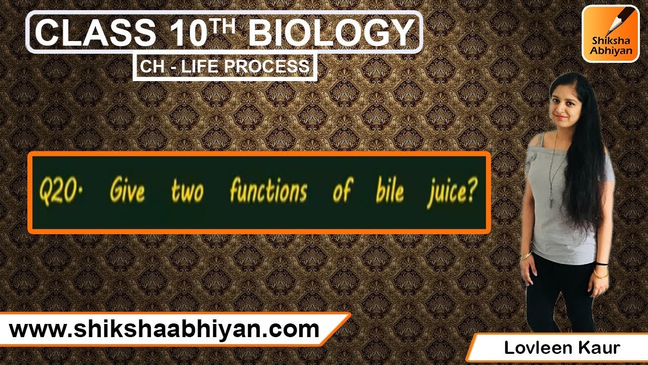 Q20 Give Two Functions Of Bile Juice YouTube Q20 give two functions of bile juice youtube