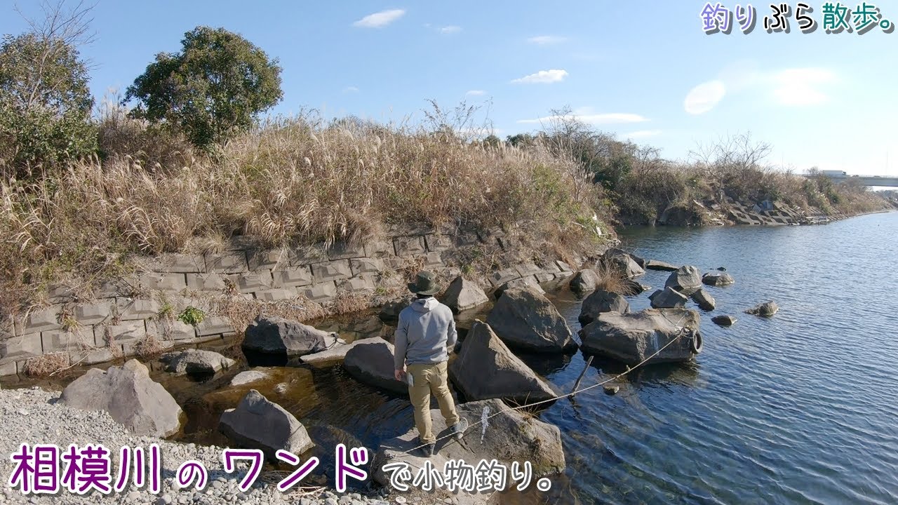 冬でもワンドなら釣れますね！ 冬の相模川 ワンドで小物釣り。 - YouTube