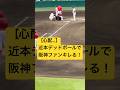 【キッズも怒る!】近本へのデッドボールで阪神ファンブチギレ!! #甲子園 #カープ #阪神ファン