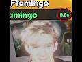 أخي يعشق طيور الفلامنجو سباق تهجئة روبلوكس روبلوكس