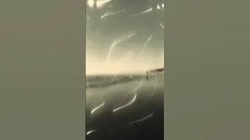 دوزي الدودية ملكة شعبي 