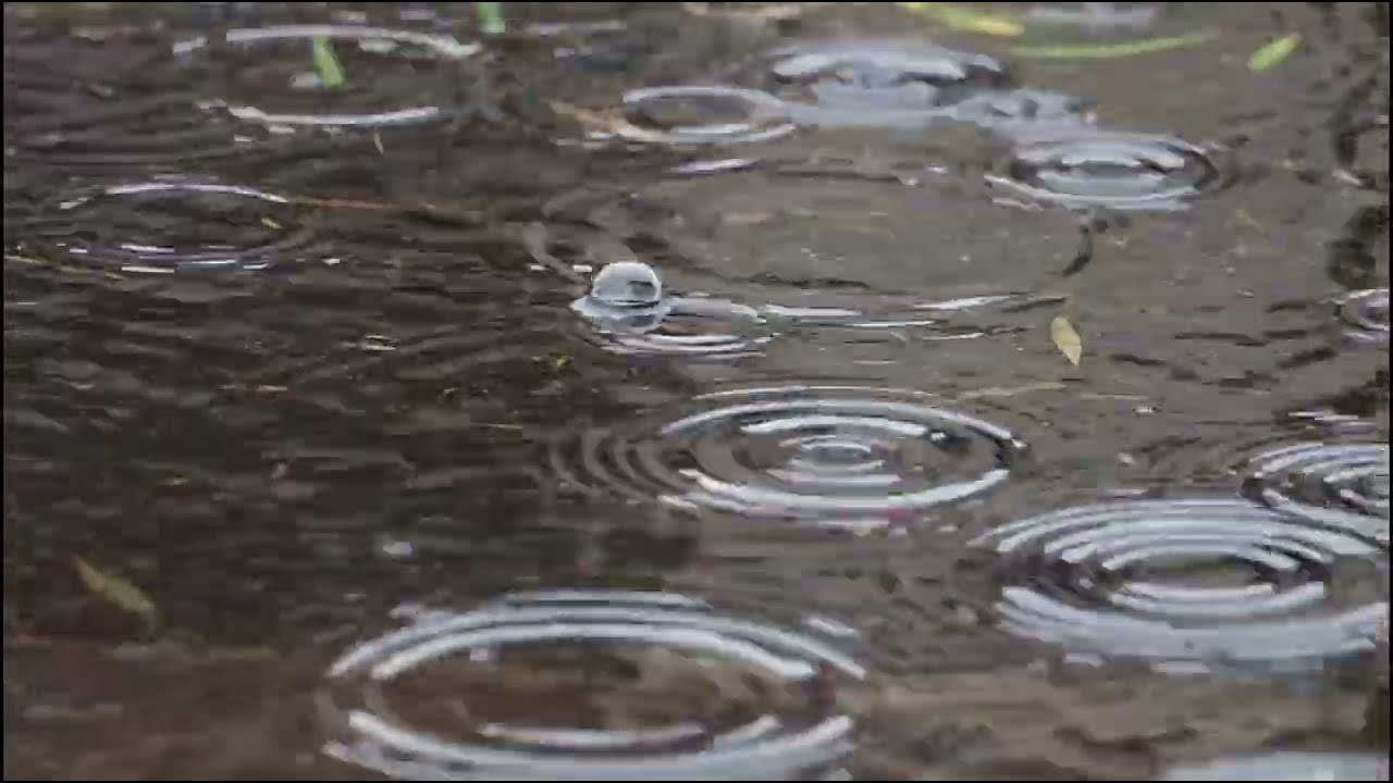 Watch Three AI Mozart Pieces -- back by popular demand on YouTube Watch Three AI Mozart Pieces -- back by popular demand on YouTube