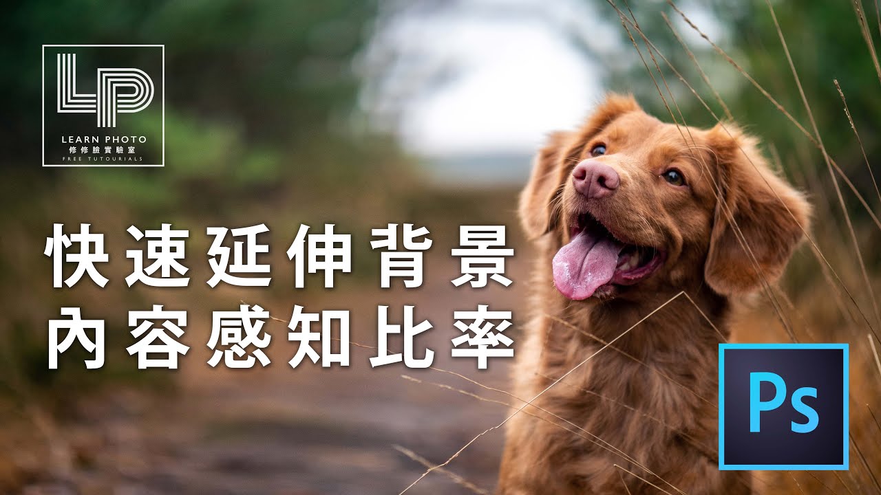 Photoshop基本功】快速校正建築物變形in Photoshop - YouTube