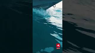 Download Lagu perjuangan sia sia  #fypシ゚viral #puisiputuscintapalingsedih #puisi #puisikecewa #puisicinta #sedih MP3