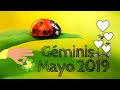 Géminis ♊ Mayo 2019💖 Horóscopo Tarot 💖 Céntrate, Aquí y Ahora 🙄 💙⭐