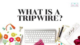 What is a tripwire?