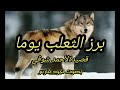 برز الثعلب يوما قصيدة لأحمد شوقي بصوت نجود فارس