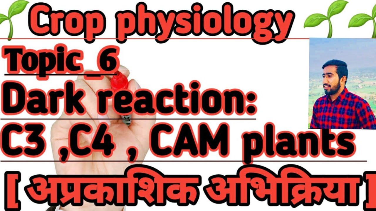 Dark reactions _ C3 , C4 CAM plants [ photosynthesis] bsc agriculture 1st year crop physiology