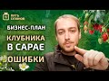 ЧТО Я СДЕЛАЛ НЕ ТАК? // БИЗНЕСПЛАН ВЫРАЩИВАНИЯ КЛУБНИКИ ПОД СВЕТОДИОДАМИ // РОЗЫГРЫШ //