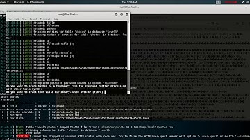 hacker101 ctf magical Photo Gallery flag1