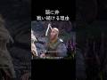 戦士の生き様#ゲーム紹介 #gameplay #assassinscreedvalhalla