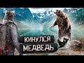 ВНЕЗАПНАЯ ВСТРЕЧА С МЕДВЕДЕМ, ПРИШЕЛ К ОТШЕЛЬНИЦЕ, 2 сезон #3