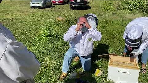 Honey moisture level using a Refractometer